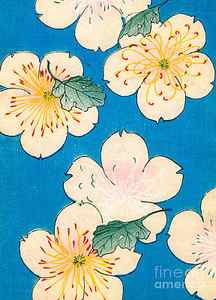Wall Art - Painting - Vintage Japanese illustration of dogwood blossoms by Japanese School