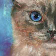 Portrait of a blue eyed cat by Karen Kaspar