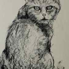 Sitting cat charcoal drawing by Karen Kaspar