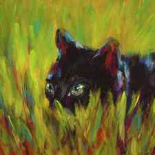 Black cat hiding by Karen Kaspar