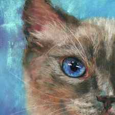 Blue eyed cat portrait by Karen Kaspar