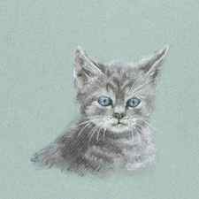 Cute little cat pastel painting by Karen Kaspar