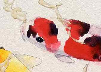 Painting-watercolor-koi-fish-3