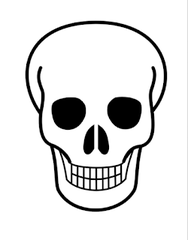 blank skull template example