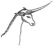 A black and white drawing of the head and neck of a horse-like creature with a mane and one long pointed horn.