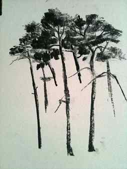 drawing groups of trees, charcoal demo