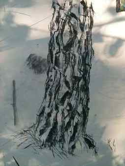 charcoal tree demo, drawing in charcoal