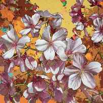 Cherry Blossoms #4 by David Palmer