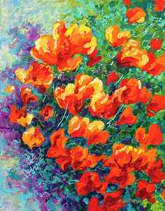 Wall Art - Painting - California Poppies by Marion Rose