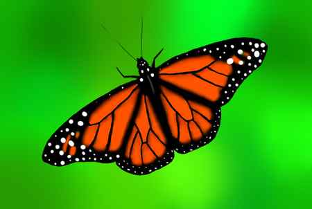 Butterfly Painting Ideas