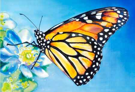 butterfly watercolor art