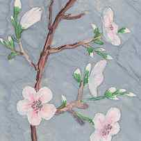 Gentle Grey Wind Pink Blossoms Watercolor by Irina Sztukowski