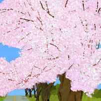 Cherry Trees by Hiroyuki Izutsu