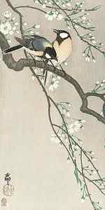 Wall Art - Painting - Tits on Cherry Branch by Ohara Koson