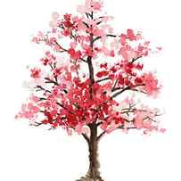 Cherry blossom tree minimalist watercolor painting by Joanna Szmerdt