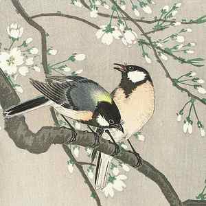 Wall Art - Painting - Tits on Cherry Branch by Ohara Koson