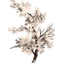 Cherry blossom tree drawing watercolor painting by Joanna Szmerdt