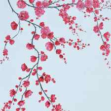 Japanese Cherry Blossom by Jan Matson