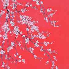 White Blossom on Scarlet by Jan Matson