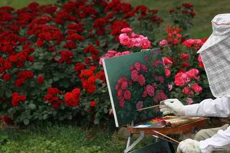 A photo of a rose flowers painter paint