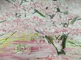Cherry Blossom, Chiswick, London, UK, March 23 thumb
