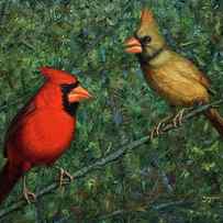 Cardinal Couple by James W Johnson