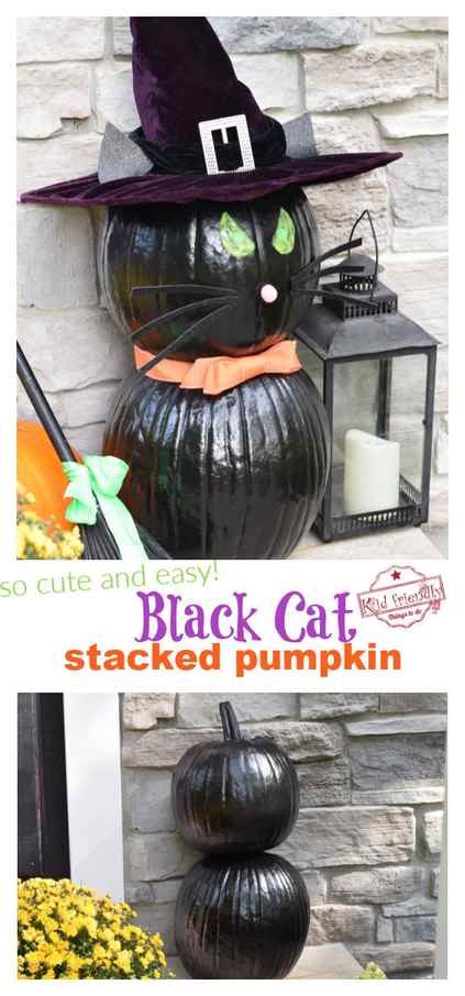 black cat pumpkin 