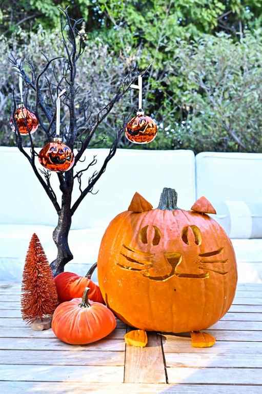 Cat pumpkin with 3D feet and ears