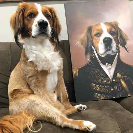 Turn Your Pet Pictures Into Custom Portraits Artinasec.com