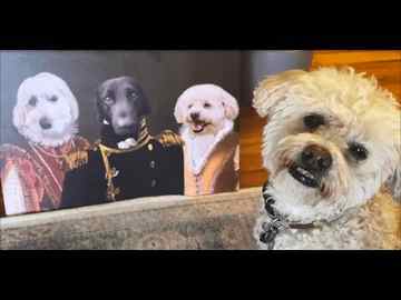 Furryroyal Custom Pet Portrait- Best Gifts for Dog Moms