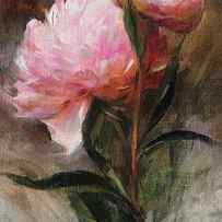 Pink Peonies by Anna Rose Bain