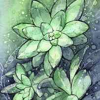 Crystal Succulents by Olga Shvartsur