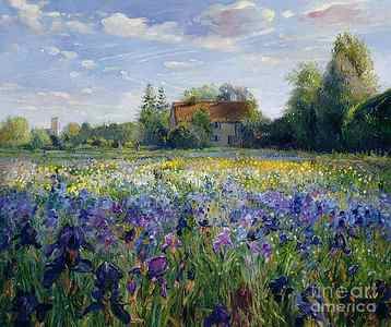 Wall Art - Painting - Evening at the Iris Field by Timothy Easton