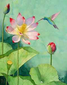 Wall Art - Painting - Lotus And Hummingbird by Robert Hooper