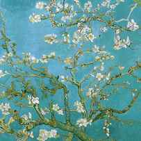Van Gogh Blossoming Almond Tree by Vincent Van Gogh