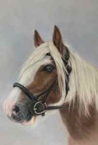 Horse Portrait Commission