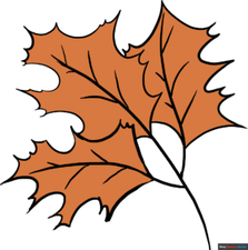 How to Draw Fall Oak Leaves Featured Image