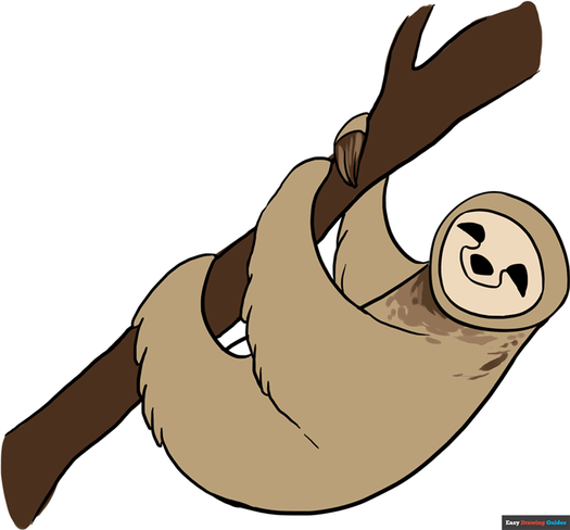 How to Draw a Sloth Featured Image