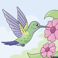 how to draw a humming bird featured image