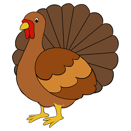 Complete Turkey drawing