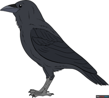 How to Draw a Raven Featured Image