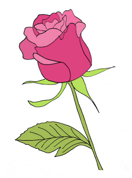 How To Draw A Rose Step 10