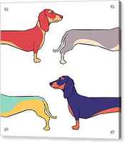 Dachshunds by Kelly King
