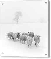 Winter Woollies by Janet Burdon