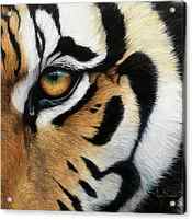 Tiger Eye by Lucie Bilodeau