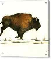 Running buffalo by Juan Bosco