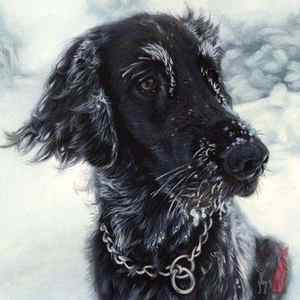 flat coated retriever oil painting