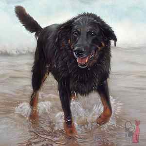 Painting dog on beach Buster