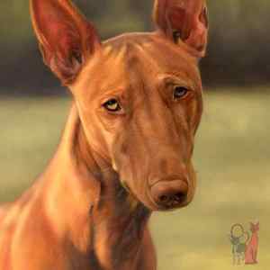Pharaoh dog oil portraits Griffyn