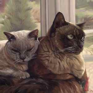 cat portrait oils linen canvas Bibi, Niko
